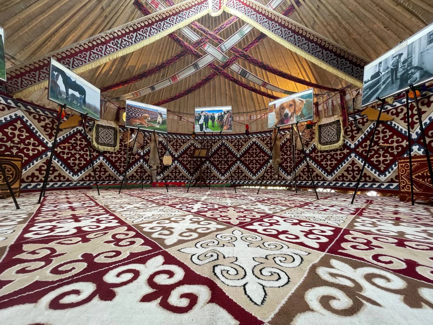 Tazy: The Grace of the Steppe