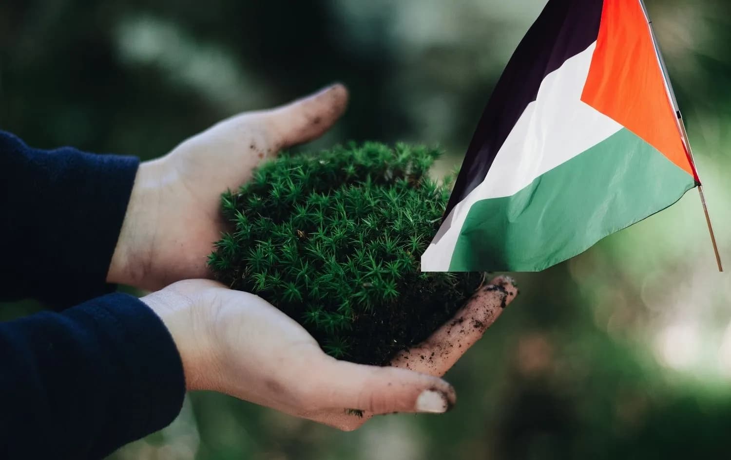 Ecocide, the unspoken effect of War