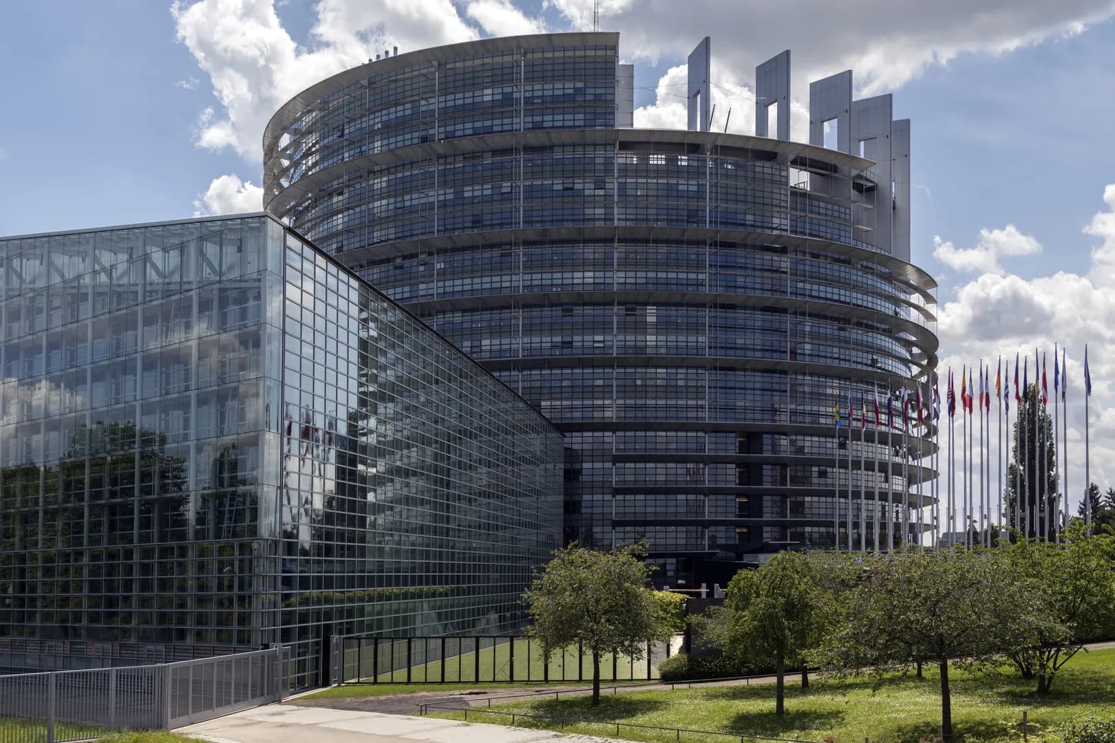 EGF Support Shows Strong Re-employment Impact Across Europe